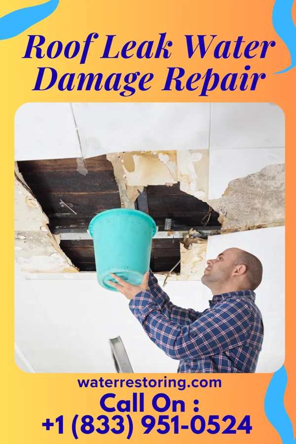 Roof Leak Water Damage Repair in Tarpon Springs, FL
