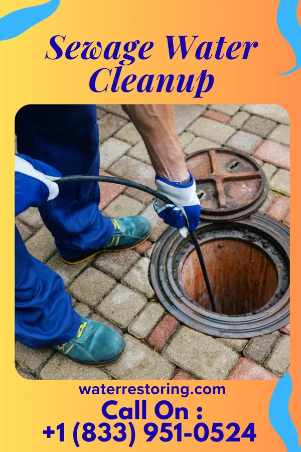 Sewage Water Cleanup in Tarpon Springs, FL